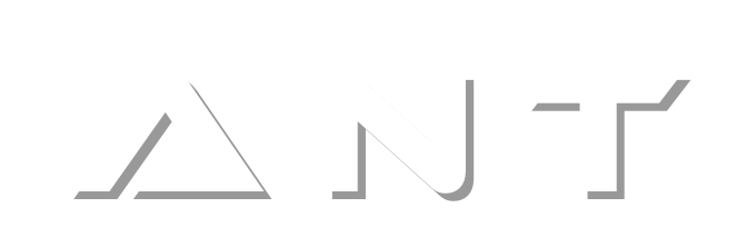 ANT GROUP